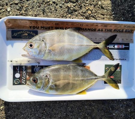 たまにはこんな日も🌟