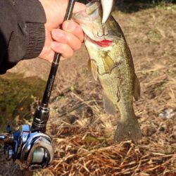 ひさしぶりのバス！