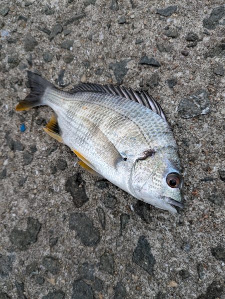 キス狙いのはずが