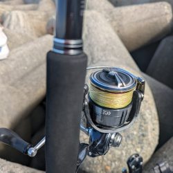 ハードジギング