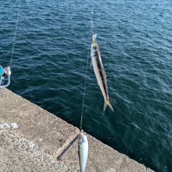 ハードジギングパート2