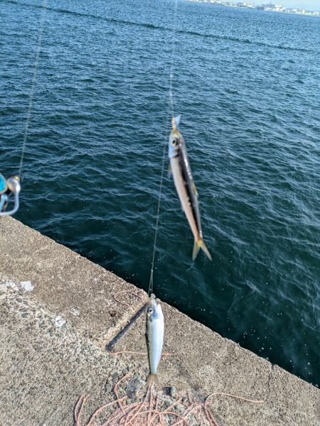 ハードジギングパート2