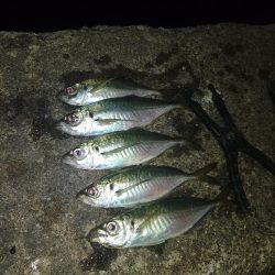 フロートゲーム～