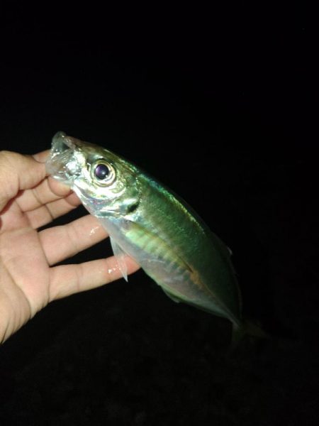 フロートゲーム～