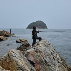 巻き網でベイトのイワシ取られてた！