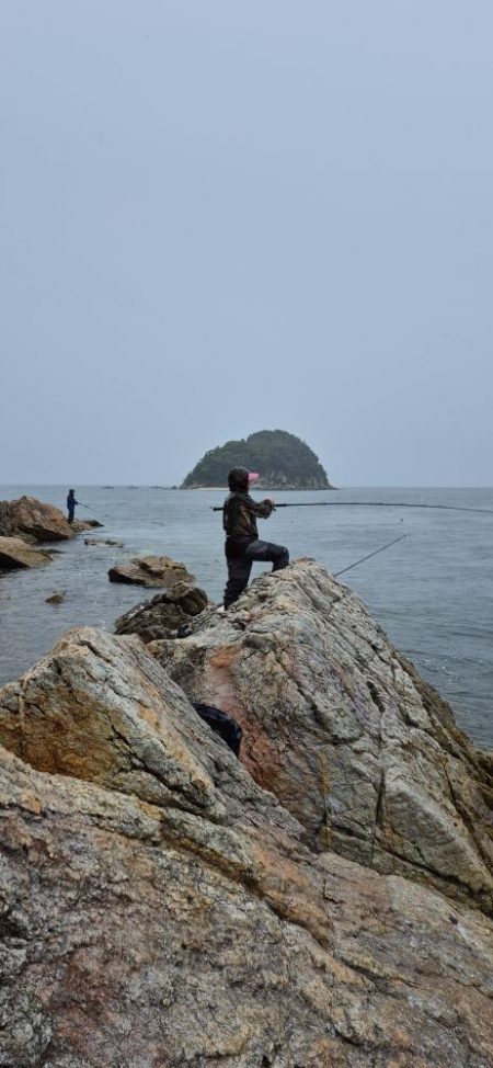 巻き網でベイトのイワシ取られてた！