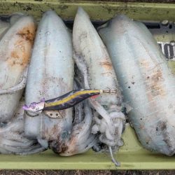 怒涛の5連チャン!でもその後は