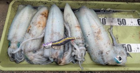 怒涛の5連チャン!でもその後は