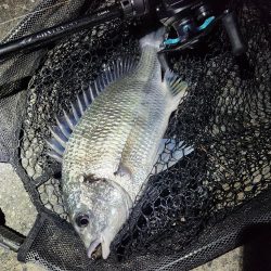 しごおわ初冬チニング