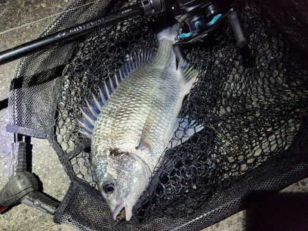 しごおわ初冬チニング