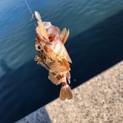 広島呉地区開拓