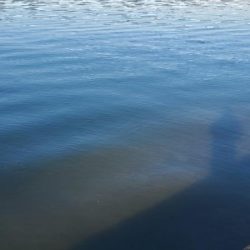 今日は晴天でした