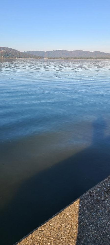 今日は晴天でした