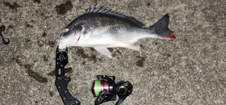 今日は根魚狙いで