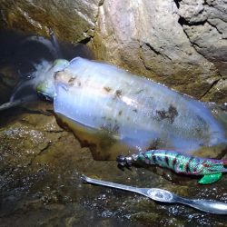 久しぶりの釣行