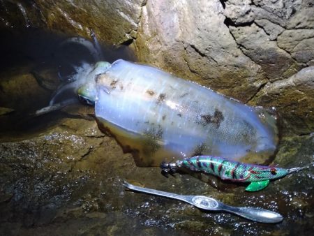 久しぶりの釣行