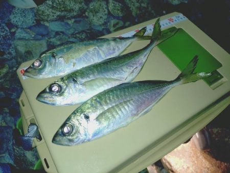 サーフフロートアジング