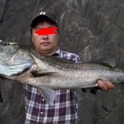 シーバス釣れました!