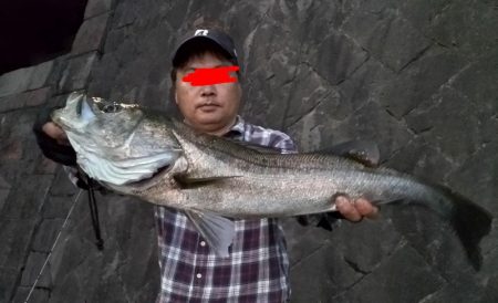 シーバス釣れました!