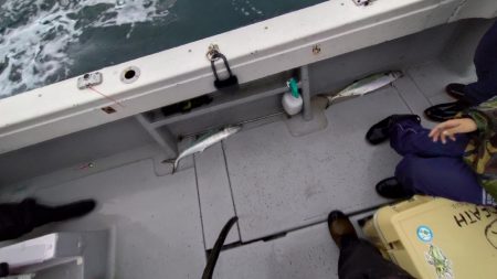 初の家族でのライトジギング