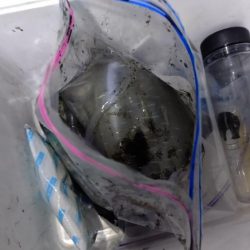 ティップラン終盤戦