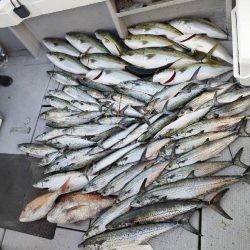 今季最後のライトジギング