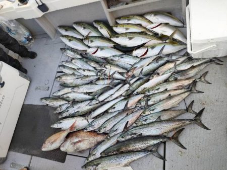 今季最後のライトジギング