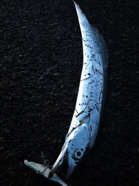 地合いは40分くらい