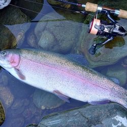 やられた ～天竜川ルアーフライテンカラ専用…