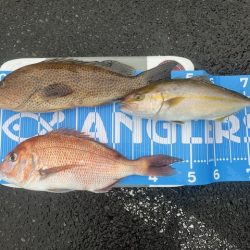 雨の中で一つテンヤ頑張りました