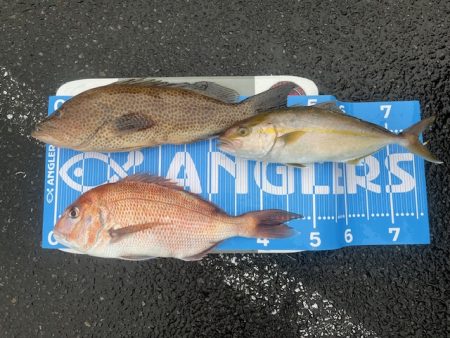 雨の中で一つテンヤ頑張りました