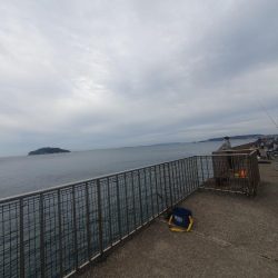 夕方から夜釣りで太刀魚秋イカ調査！