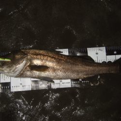 厳しい状況の中