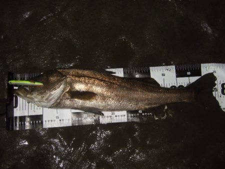 厳しい状況の中