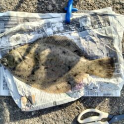 投釣りはじめました