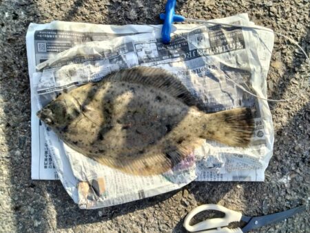 投釣りはじめました