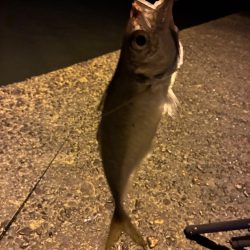 昼渋すぎ、夕方から激アツ