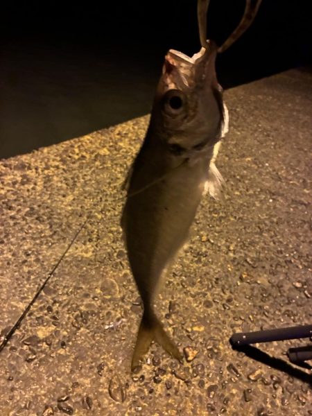 昼渋すぎ、夕方から激アツ