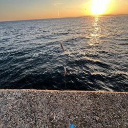 淡路島　遠征失敗