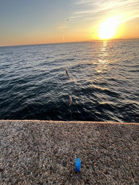 淡路島　遠征失敗