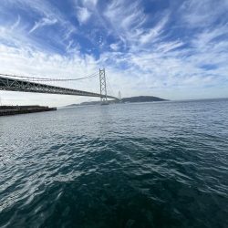 サビキも終盤？