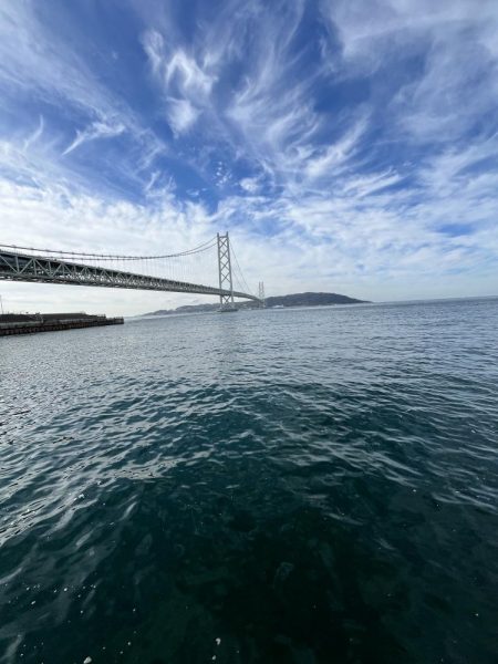 サビキも終盤？