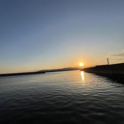 サビキまだまだ行けそう