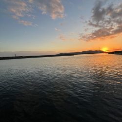 まだサビキ行けそう