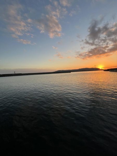 まだサビキ行けそう