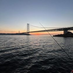 サビキもまだギリギリ