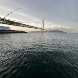 サビキまだギリギリいける