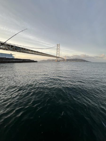 サビキまだギリギリいける