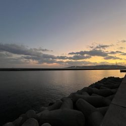 サビキまだまだいける②