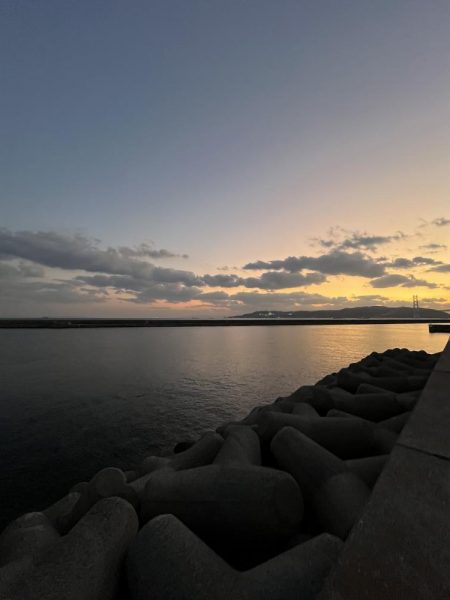 サビキまだまだいける②